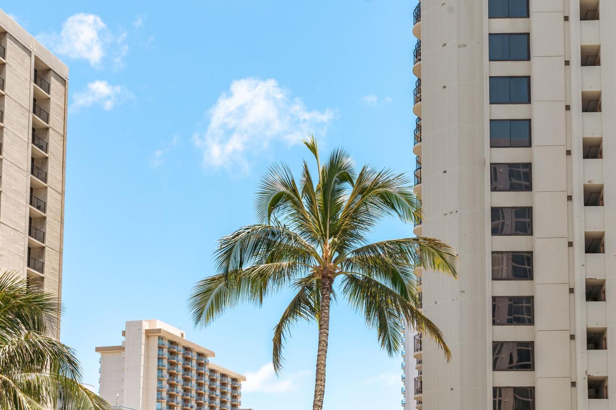 הונולולו Beautiful 1Br, Steps To Waikiki Beach And Parking מראה חיצוני תמונה