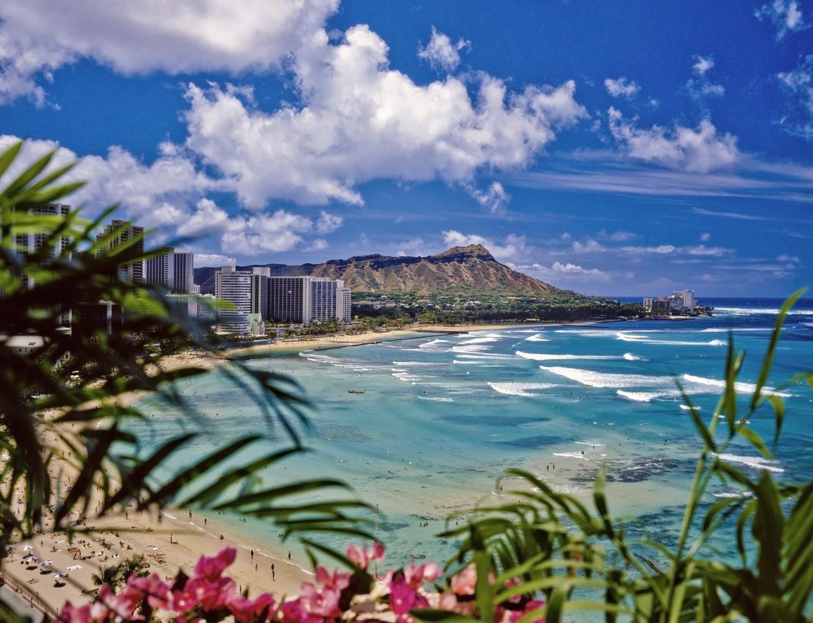 הונולולו Beautiful 1Br, Steps To Waikiki Beach And Parking מראה חיצוני תמונה